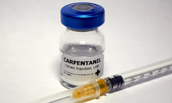 Carfentanil