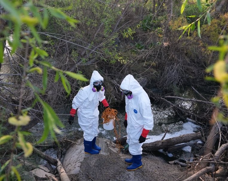 Tijuana River Poop Collection