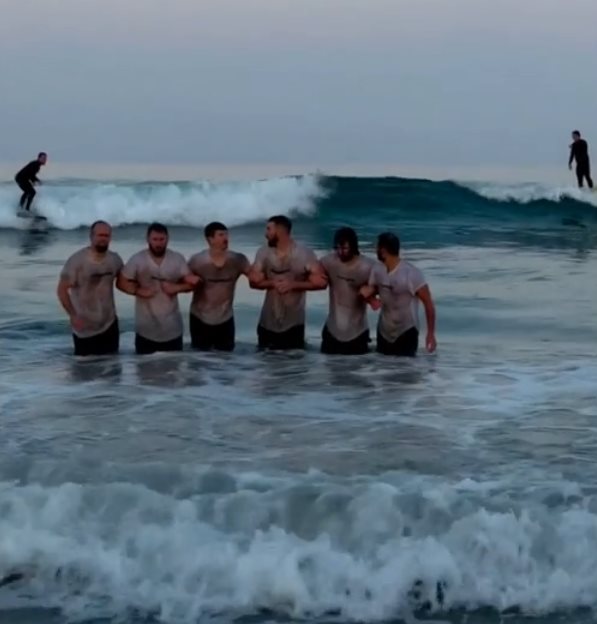 Alpha Male Surf City