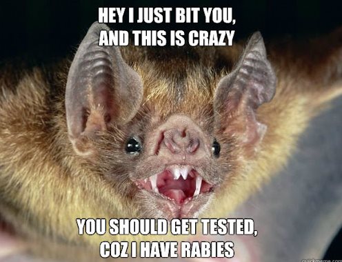 Bat Rabies