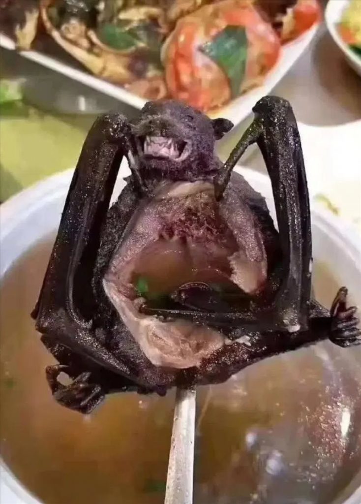 Bat Soup