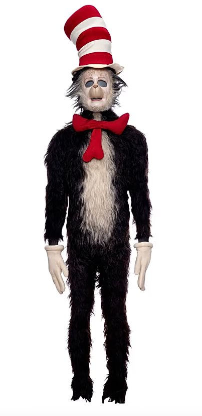 Cat in the hat trend