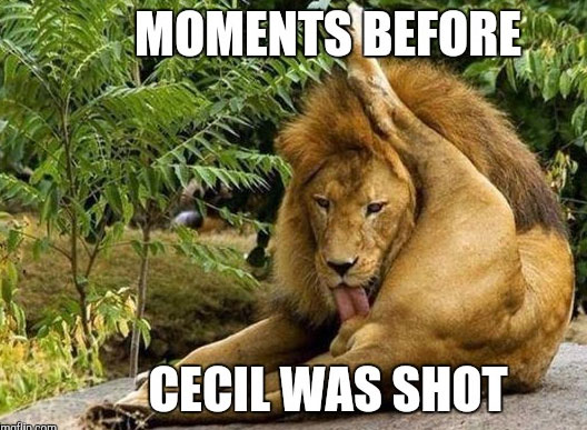 cecilmeme