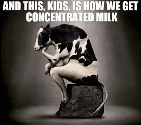 milk meme