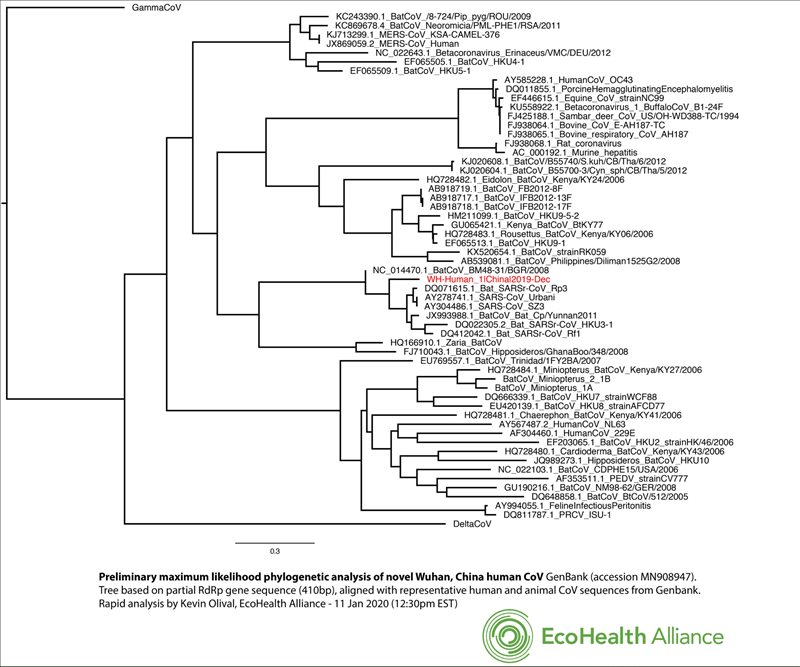 Coronavirus