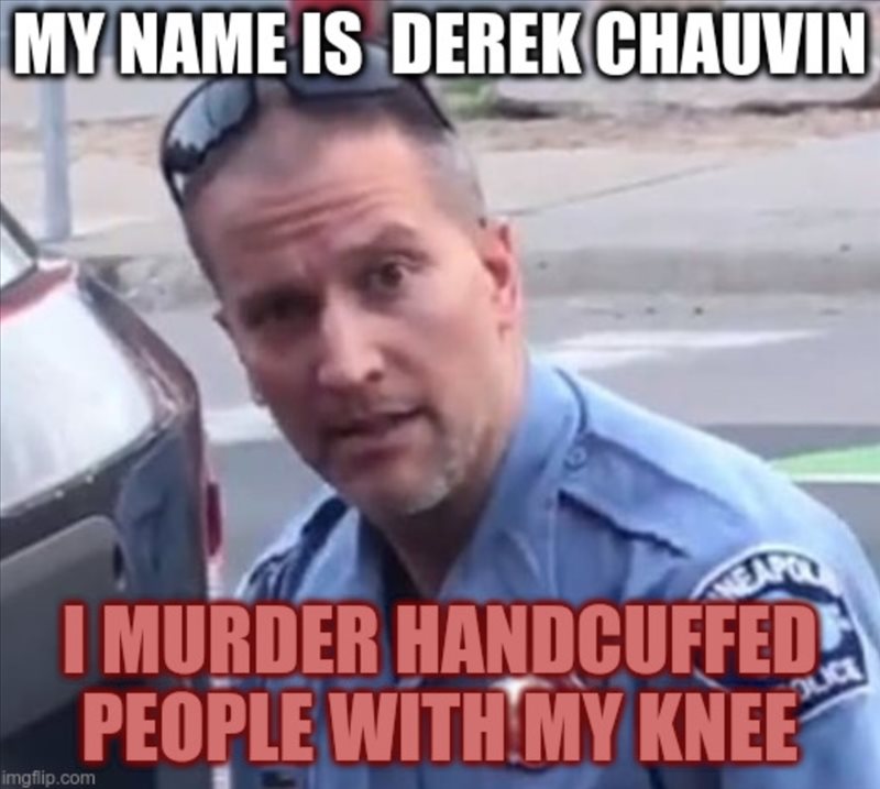 Derek Chauvin Murderer