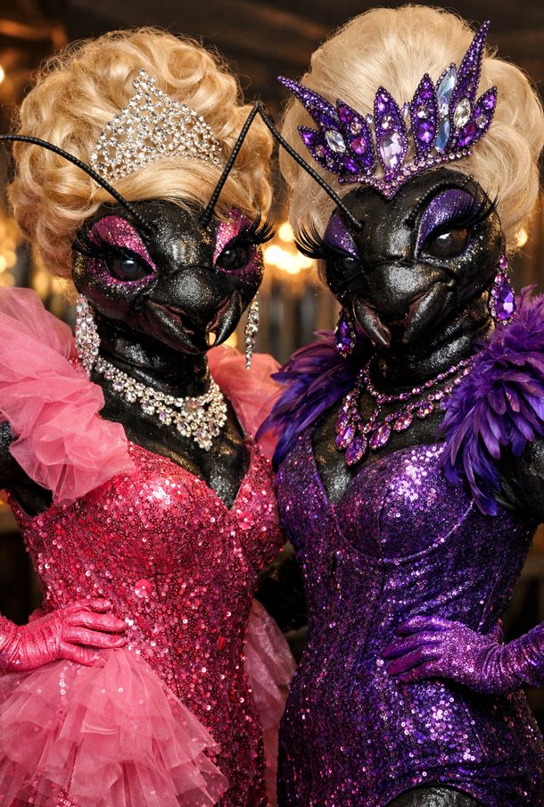 Ant Drag Queens