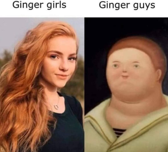 Gingers