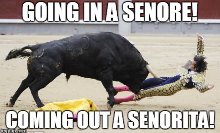 Matador Karma Bull Rectum