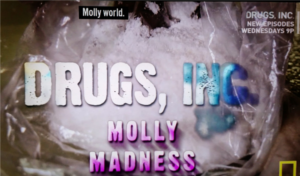 mollymadness