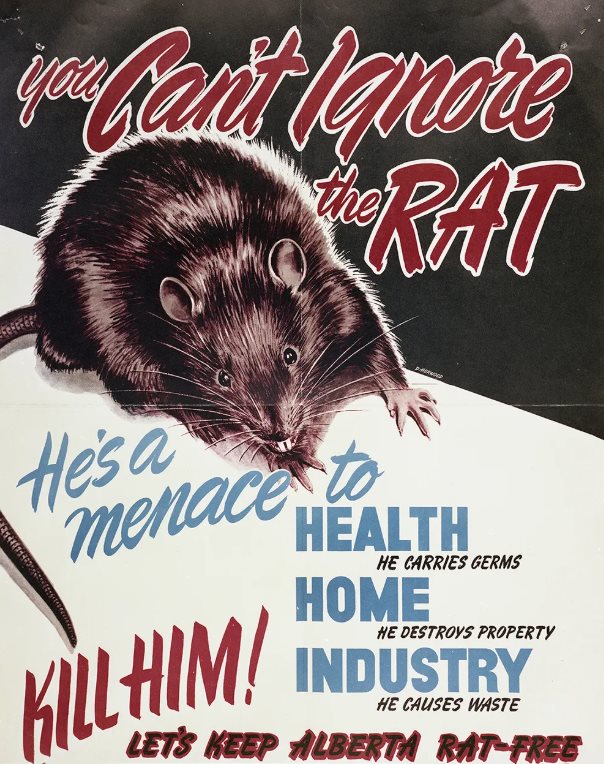 Rat Patrol