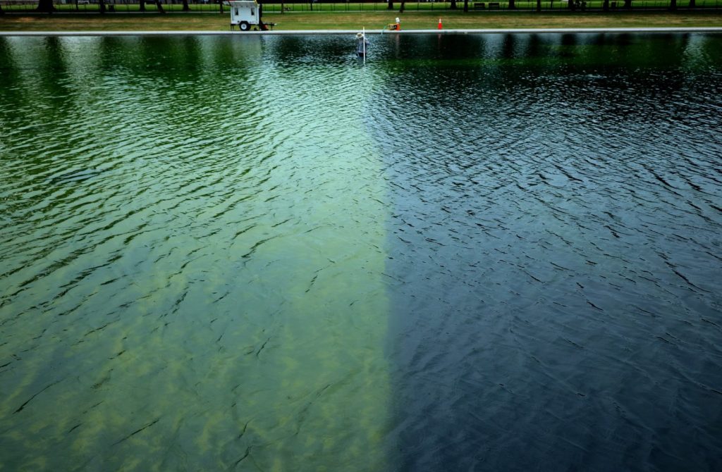 The Reflecting Pool