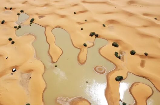 Sahara Flooding