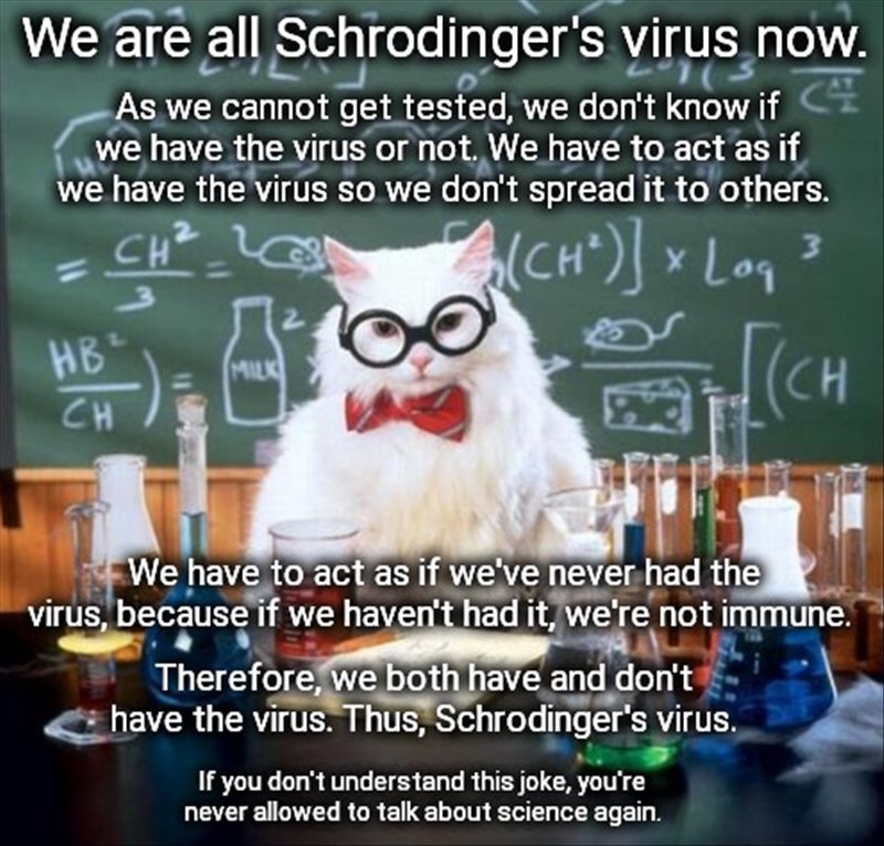Shrodingers Virus