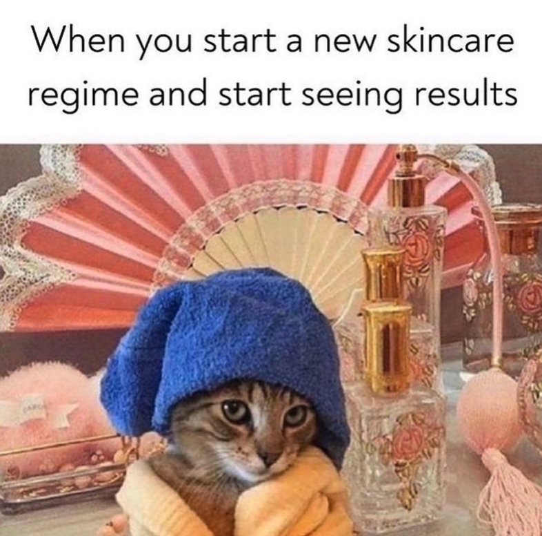 Skincare Kitty Cat