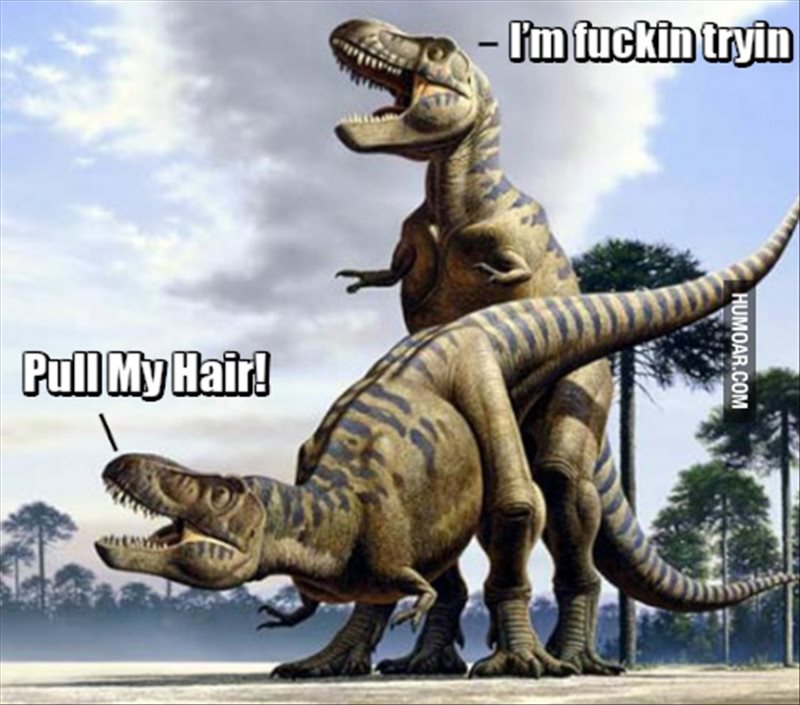 t rex