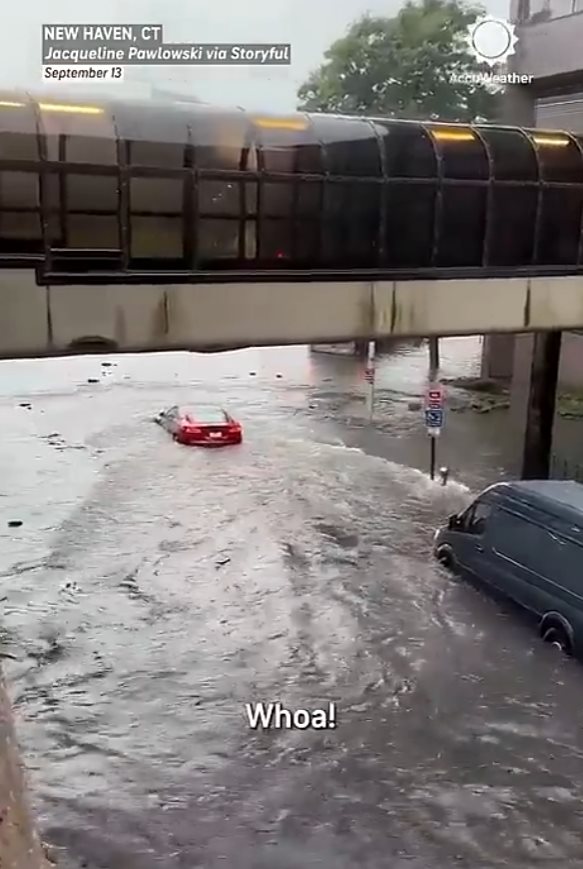 Tesla Boat