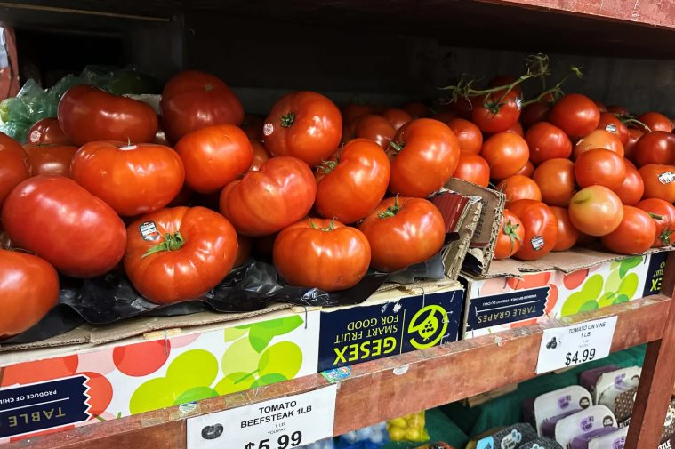 Tomato Prices Going Up