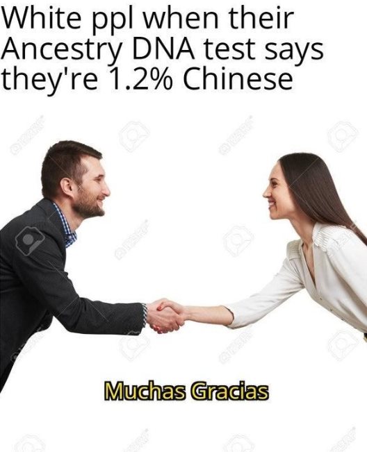 White People Ancestry Meme