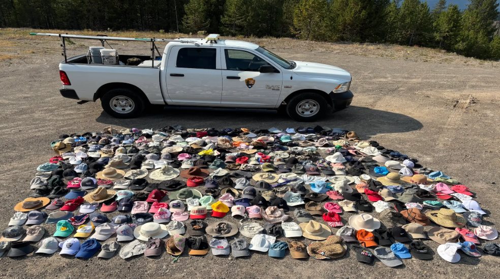 Yellowstone Hat Migration
